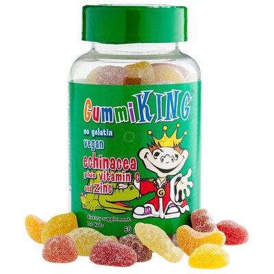 Gummi King Эхинацея с витамином С и цинком для детей 60 шт Echinacea Plus Vitamin C and Zinc For Kid
