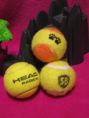 Мяч.мячик.теннисный.тенісний.head radical