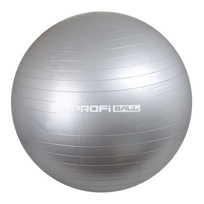 Мяч для фитнеса 65 см M 0276 Profi Ball фитбол серый
