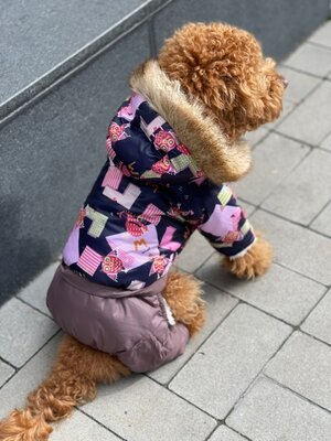 Лучшая одежда для собак Зимний комбинезон на меху