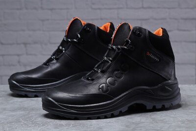 Зимние мужские ботинки Ecco Biom, черные , натур.кожа