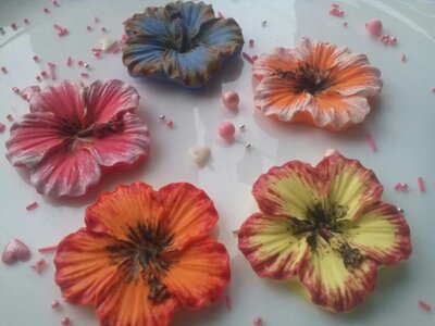 Сахарные цветы гибискус для украшения кондитерских изделий