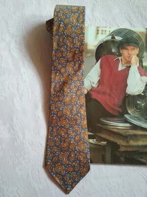 Модный, стильный шелковый галстук принт пейсли индийский огурец 