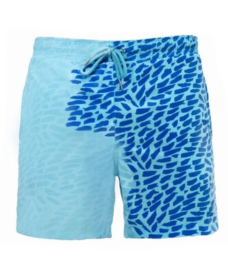 Шорты хамелеон для плавания, пляжные мужские спортивные шорты Синие Размер 2XL