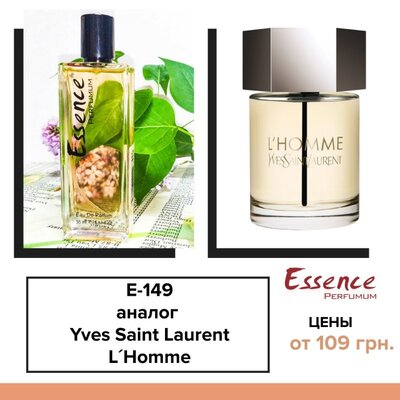 Духи Essence Perfumum аналоги Yves Saint Laurent L´Homme