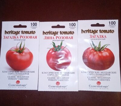 Продам семена томатов . Недорого.