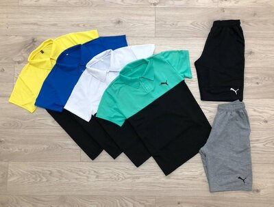 Мужской спортивный костюм летний/Комплект футболка поло и шорты Puma Nike