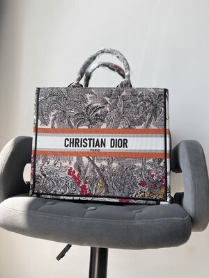 Женская Сумка Christian Dior Book Premium