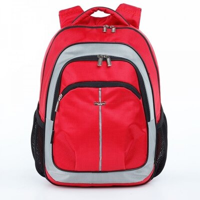 Школьный ортопедический рюкзак-ранец для мальчика двухцветный, Шкільні ортопедичні рюкзаки
