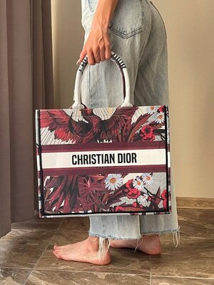 Женская Сумка Christian Dior Book Bird Red