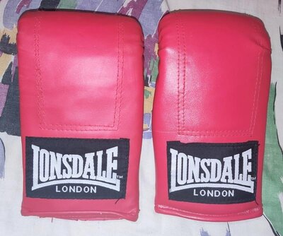 Тренировочные битки Lonsdale London, боевые искусства